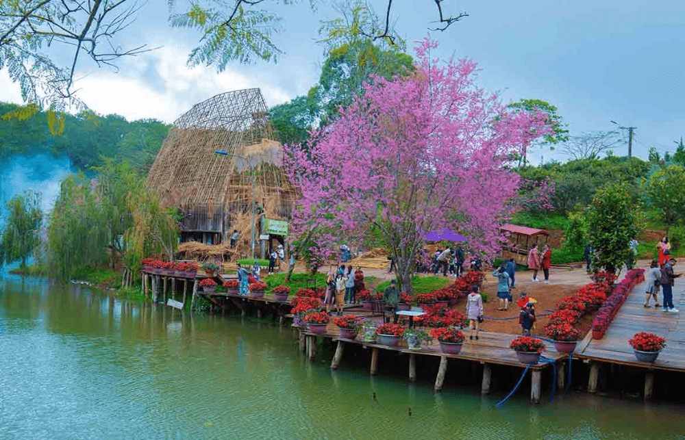 đi măng đen mùa nào đẹp