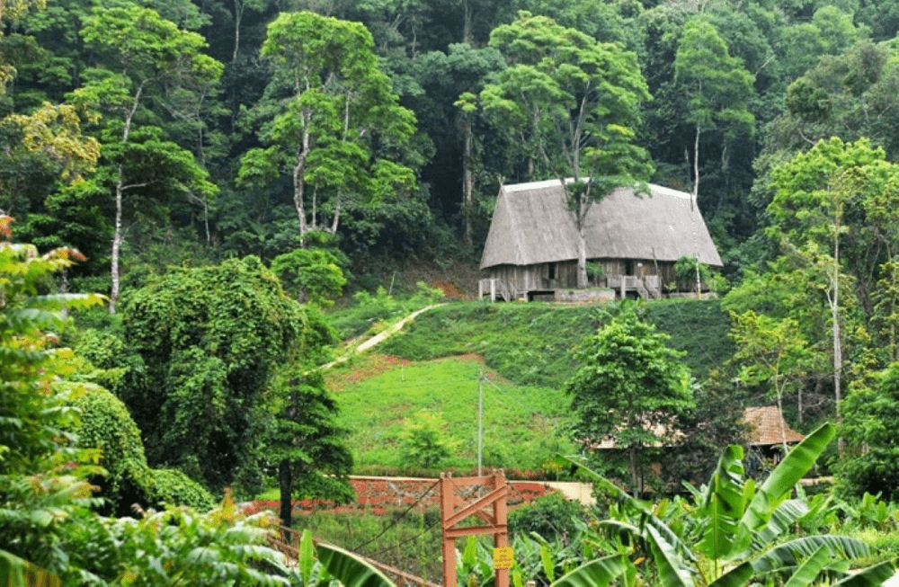 măng đen đi đâu chơi