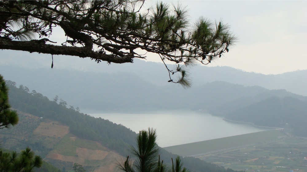 Có nên đi du lịch Đà Lạt vào mùa mưa không?