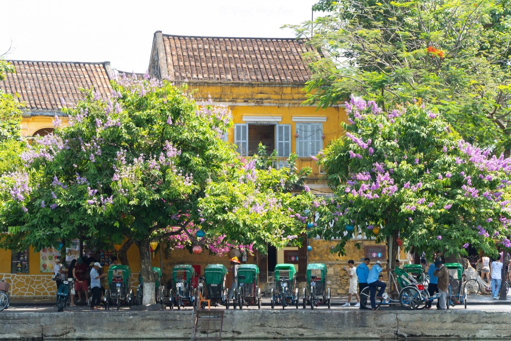 Nhà cổ Tấn Ký