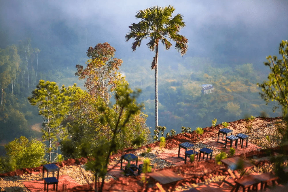 săn mây coffee and homestay măng đen