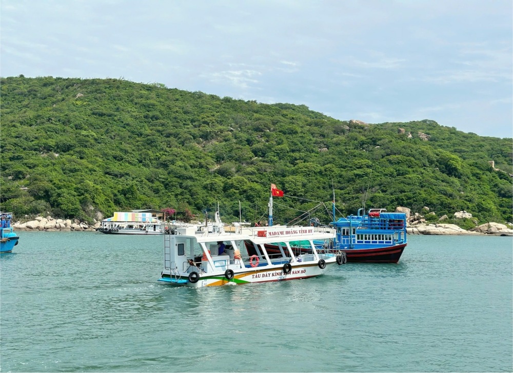 Tàu đáy kính Vĩnh Hy: Trải nghiệm ngắm san hô đẹp quên lối về