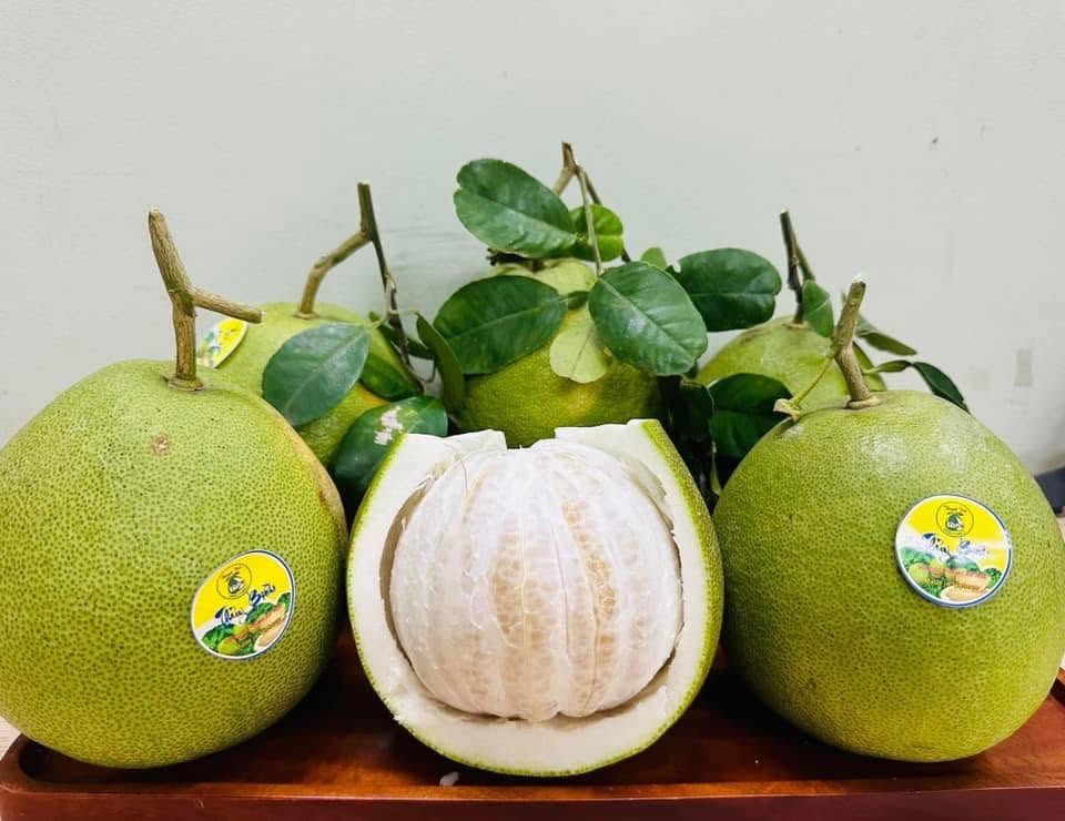 Du khách có thể mua thành trà tại vườn Thủy Biều
