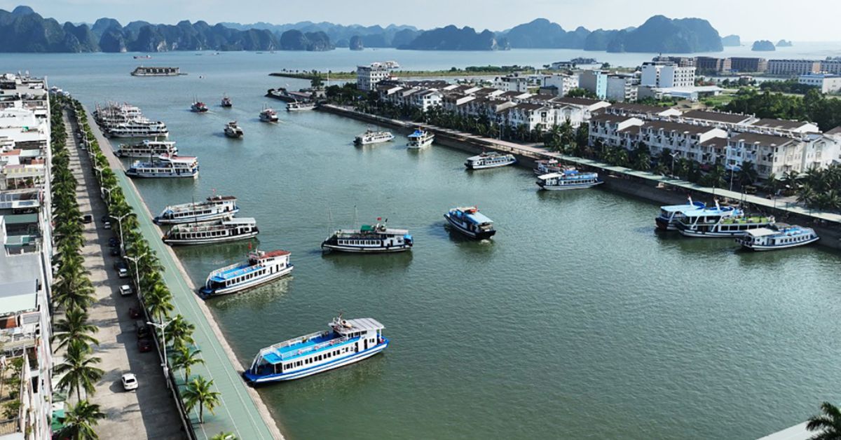 Hạ Long trọn vẹn 2 ngày 1 đêm, du thuyền trên vịnh di sản và khám phá hang động kỳ vĩ