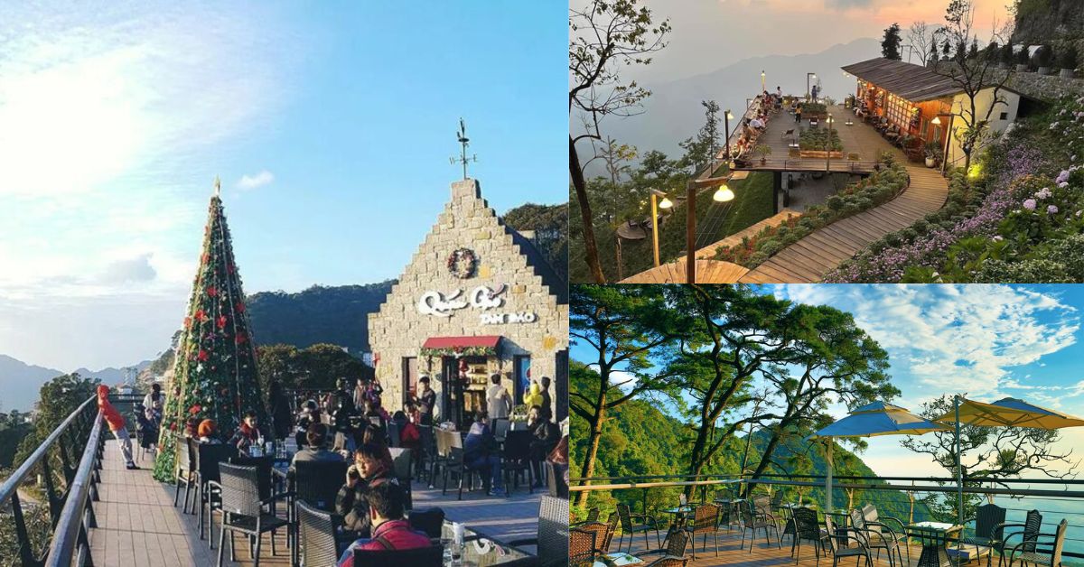 Tam Đảo 3N2Đ - Lên núi trốn nắng, check-in đồi thông và homestay view sương